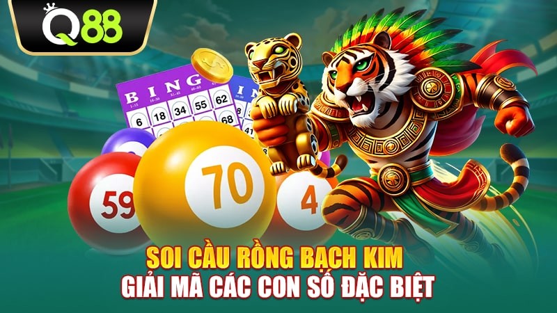 Q88 Soi Cầu Rồng Bạch Kim - Giải Mã Các Con Số Đặc Biệt
