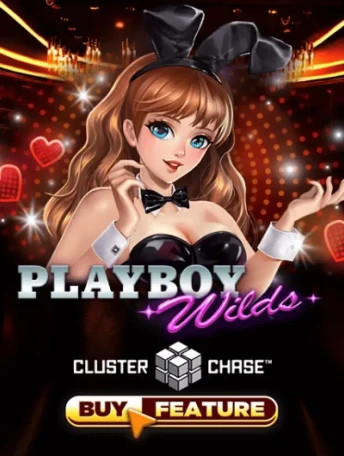 Q88 Playboy Wilds