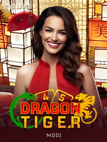 Q88 Dragon Tiger MD01