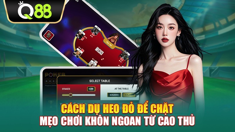 Q88 Cách dụ heo đỏ để chặt - Mẹo chơi khôn ngoan từ cao thủ