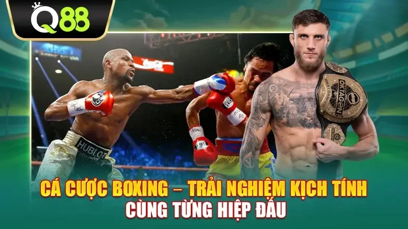 Q88 Cá cược boxing – Trải nghiệm kịch tính cùng từng hiệp đấu