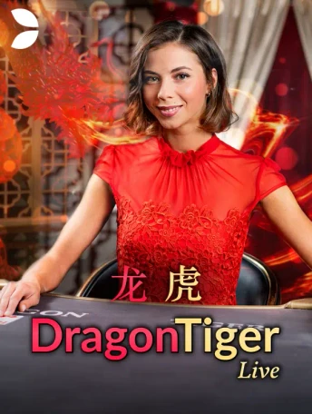 Q88 Dragon Tiger