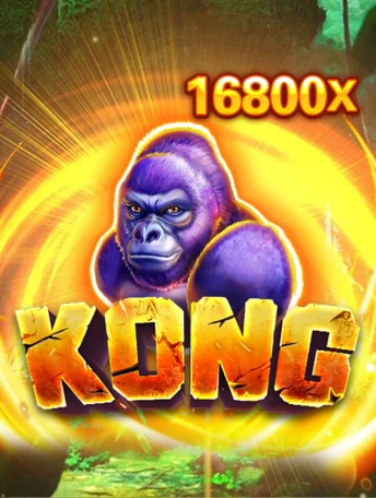 Q88 Kong