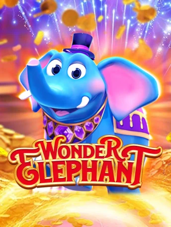 Q88 Wonder Elephant