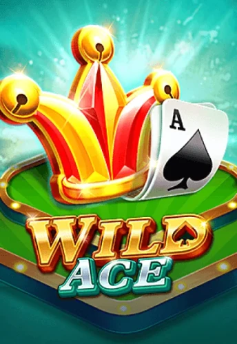 Q88 Wild Ace