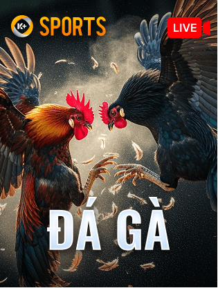 Q88 Đá Gà K-Sports