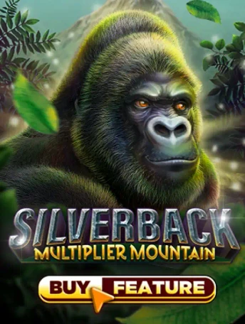 Q88 Silverback: Multiplier Mountain