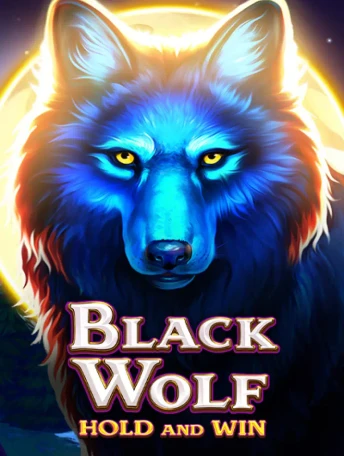 Q88 Black Wolf: Hold and Win