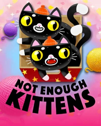 Q88 Not Enough Kittens