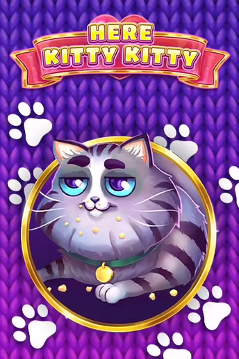 Q88 Here Kitty Kitty