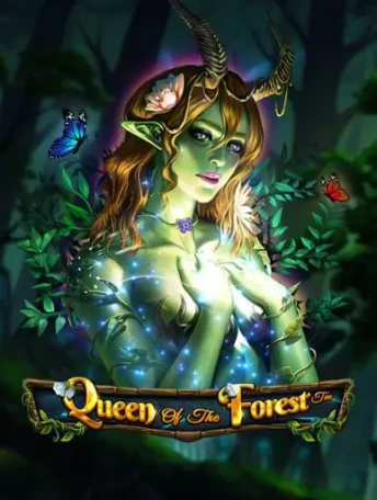 Q88 Queen Of The Forest