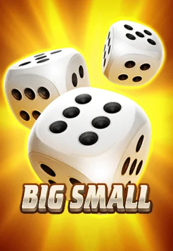 Q88 Big Small