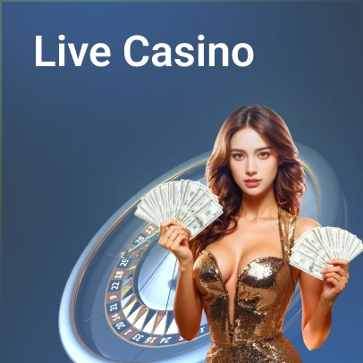 Q88 Live Casino