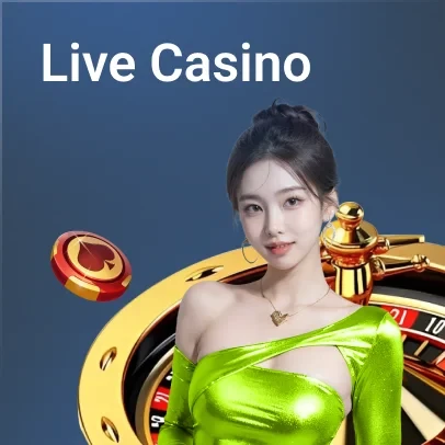 Q88 Live Casino